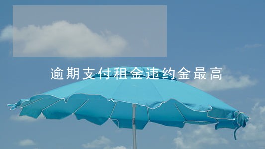 逾期支付租金违约金最高
