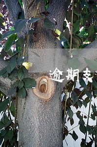 逾期支付租金违约金的计算标准