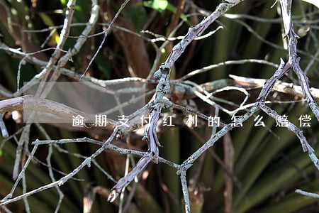 逾期支付红利的怎么赔偿 逾期支付红利的怎么赔偿