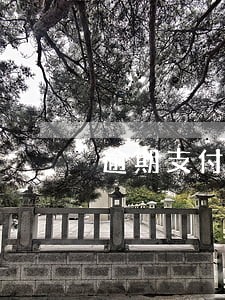 逾期支付约定款 逾期支付约定款