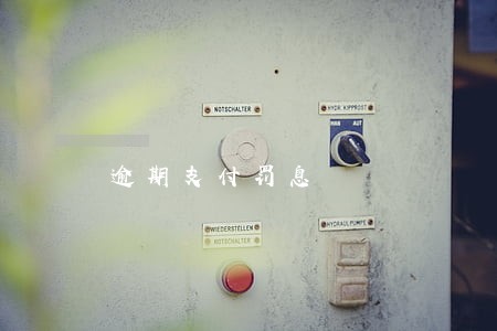 逾期支付罚息 逾期支付罚息
