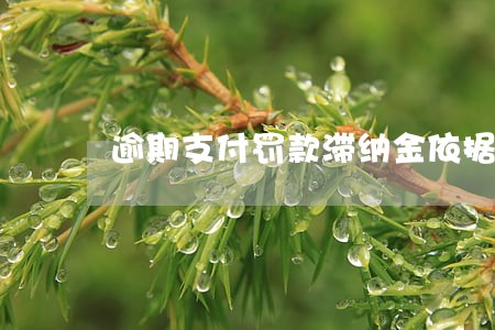 逾期支付罚款滞纳金依据 逾期支付罚款滞纳金依据