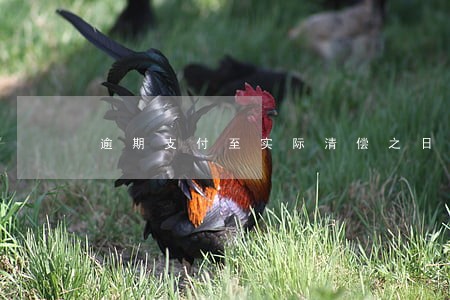 逾期支付至实际清偿之日 逾期支付至实际清偿之日