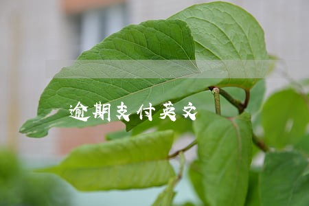 逾期支付英文 逾期支付英文