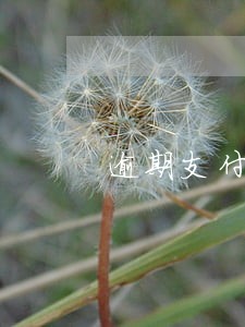 逾期支付计算利息 逾期支付计算利息