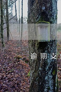 逾期支付账款的收取多少利息 逾期支付账款的收取多少利息