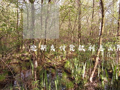 逾期支付货款利息上限 逾期支付货款利息上限
