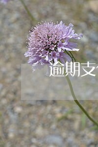 逾期支付货款利息从什么时间