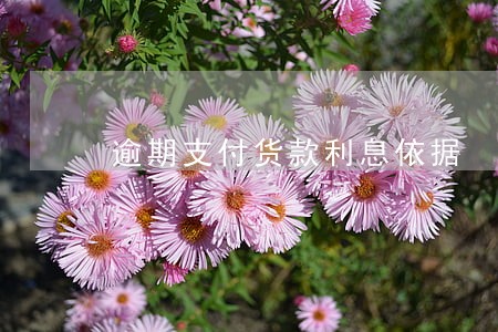 逾期支付货款利息依据 逾期支付货款利息依据