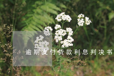 逾期支付货款利息判决书 逾期支付货款利息判决书