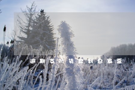 逾期支付货款利息发票 逾期支付货款利息发票