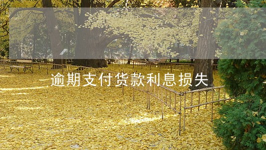 逾期支付货款利息损失 逾期支付货款利息损失