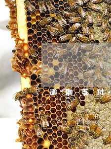 逾期支付货款利息是单利还是复利 逾期支付货款利息是单利还是复利