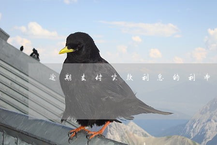 逾期支付货款利息的利率 逾期支付货款利息的利率