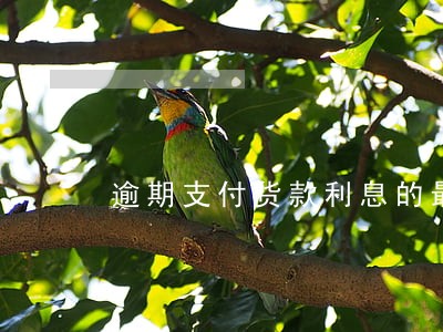 逾期支付货款利息的最新规定 逾期支付货款利息的最新规定