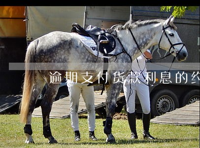 逾期支付货款利息的约定 逾期支付货款利息的约定