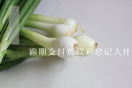 逾期支付货款利息记入什么科目 逾期支付货款利息记入什么科目