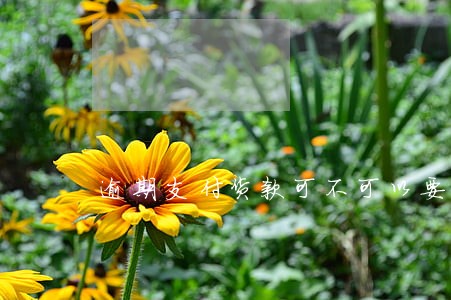 逾期支付货款可不可以要求利息 逾期支付货款可不可以要求利息