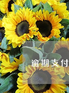 逾期支付货款损失计算公式
