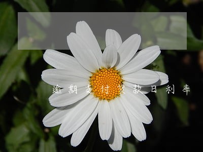 逾期支付货款日利率