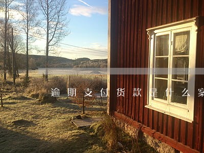 逾期支付货款是什么案由 逾期支付货款是什么案由