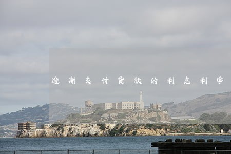 逾期支付货款的利息利率 逾期支付货款的利息利率