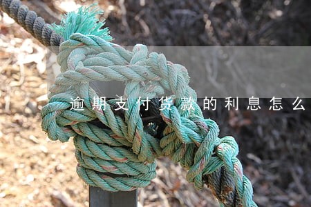 逾期支付货款的利息怎么算
