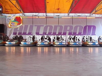 逾期支付货款的利息怎样开发票 逾期支付货款的利息怎样开发票