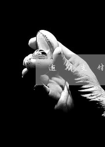 逾期支付货款的利息是