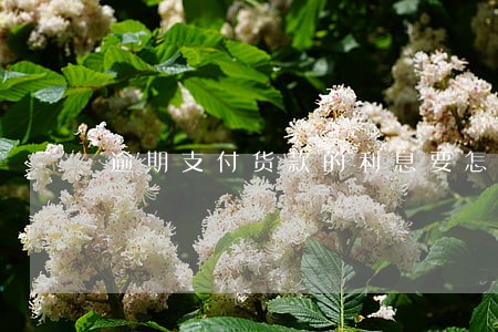 逾期支付货款的利息要怎么算 逾期支付货款的利息要怎么算