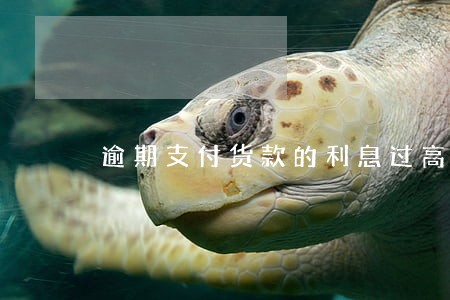 逾期支付货款的利息过高