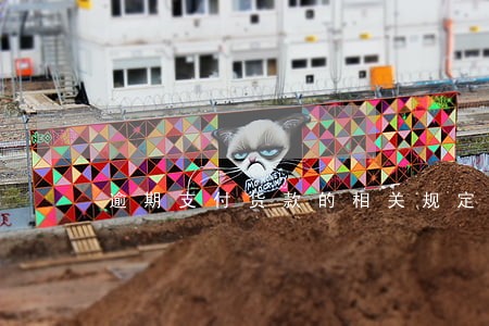 逾期支付货款的相关规定 逾期支付货款的相关规定