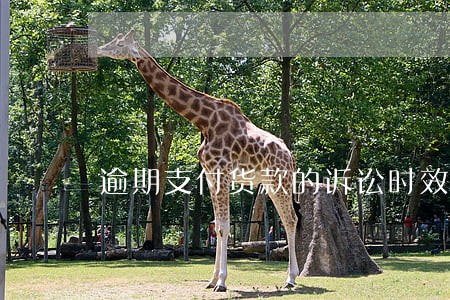逾期支付货款的诉讼时效