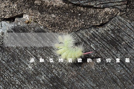 逾期支付货款的违约金最高限额