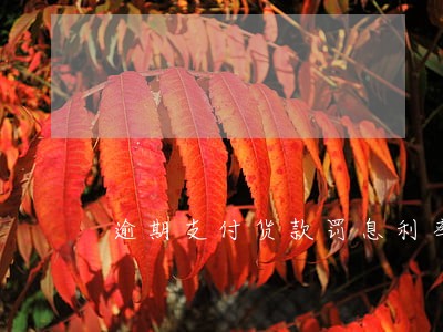 逾期支付货款罚息利率计算