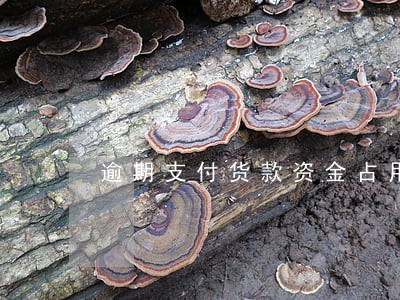 逾期支付货款资金占用费 逾期支付货款资金占用费