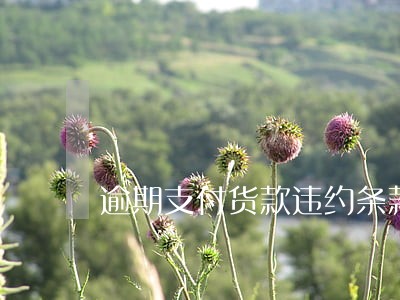 逾期支付货款违约条款 逾期支付货款违约条款