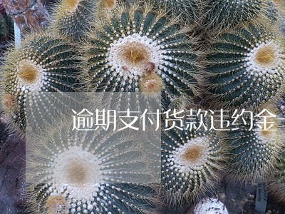 逾期支付货款违约金一般是多少 逾期支付货款违约金一般是多少
