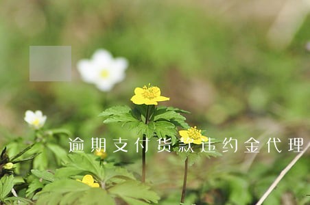 逾期支付货款违约金代理词 逾期支付货款违约金代理词