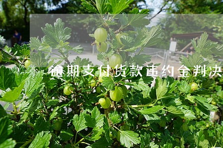 逾期支付货款违约金判决 逾期支付货款违约金判决