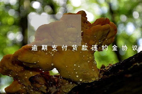 逾期支付货款违约金协议 逾期支付货款违约金协议