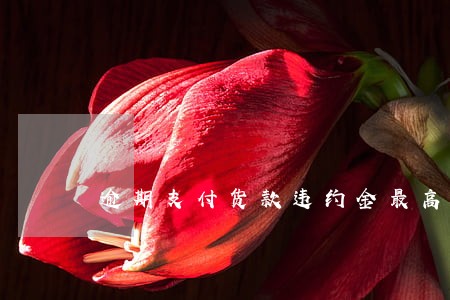 逾期支付货款违约金最高
