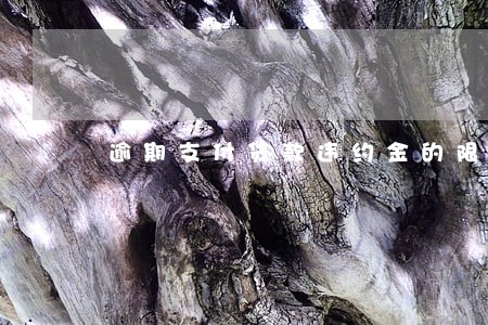 逾期支付货款违约金的限制 逾期支付货款违约金的限制