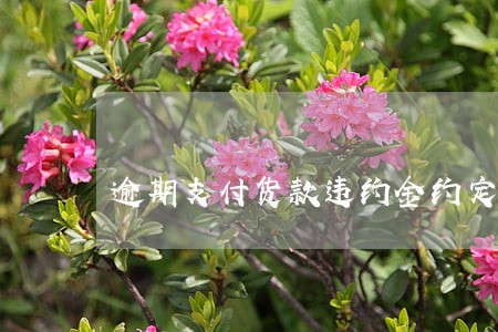 逾期支付货款违约金约定过高 逾期支付货款违约金约定过高