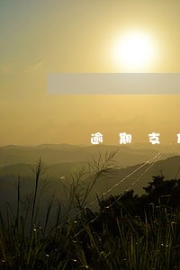 逾期支付购房款约定违约金过高 逾期支付购房款约定违约金过高
