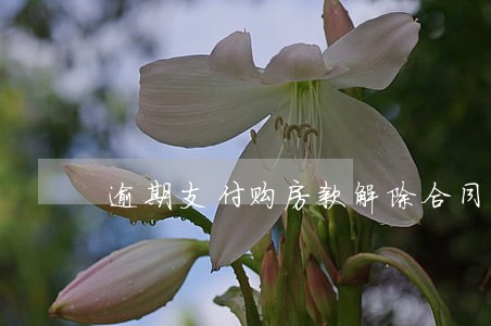 逾期支付购房款解除合同 逾期支付购房款解除合同