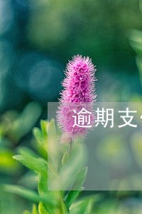 逾期支付购房款责任