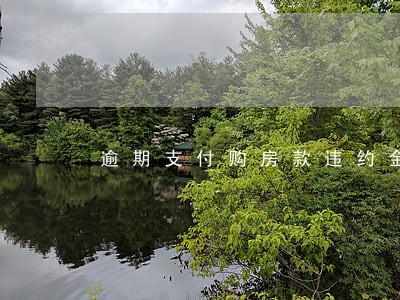 逾期支付购房款违约金太高 逾期支付购房款违约金太高