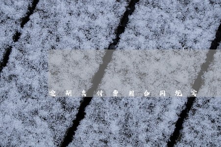 逾期支付费用合同规定 逾期支付费用合同规定