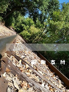 逾期支付费用处罚标准 逾期支付费用处罚标准